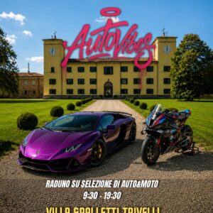 BIGLIETTO VISITATORI AUTOVIBES